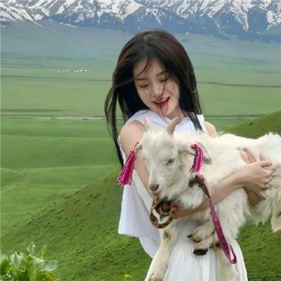 鱿鱼仔的乡土生活第十二季
